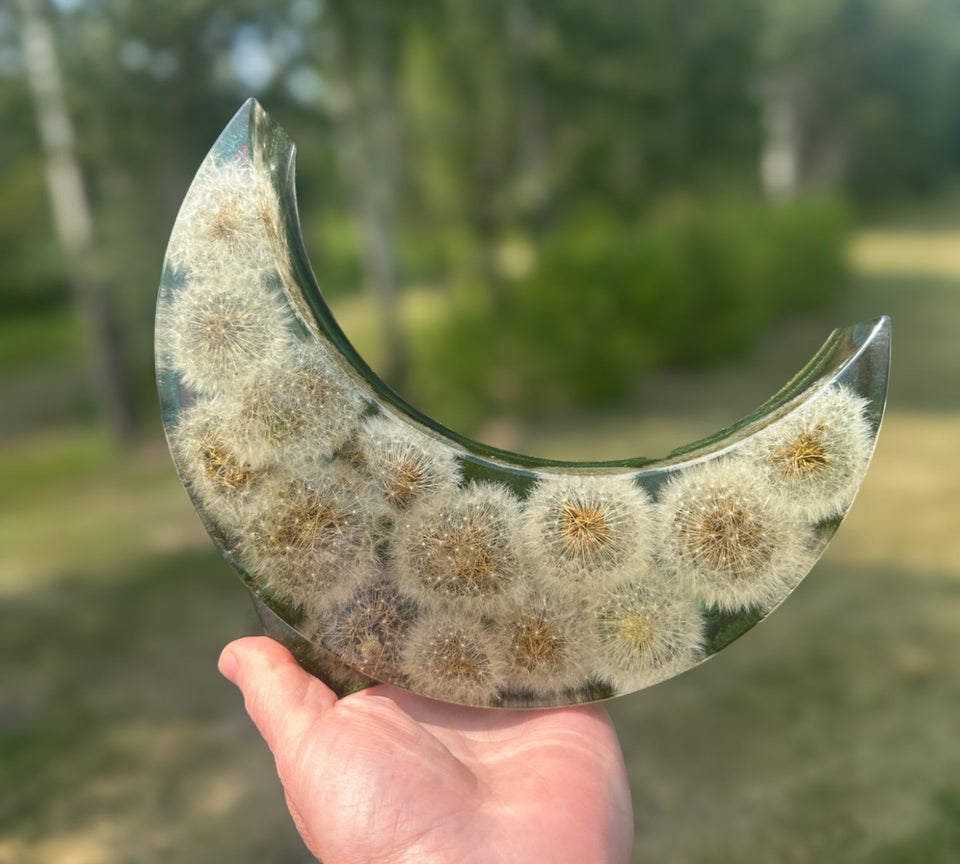 fairy wish