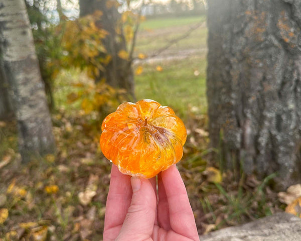 Pumpkin - Orange Bloom - Handmade Resin Pumpkins with Botanicals