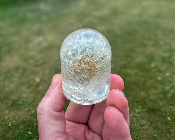 Dandelion Fairy Wishes - Handmade Floating Dandelion Resin Light Decor