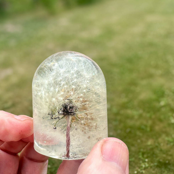Dandelion Fairy Wishes - Handmade Floating Dandelion Resin Light Decor
