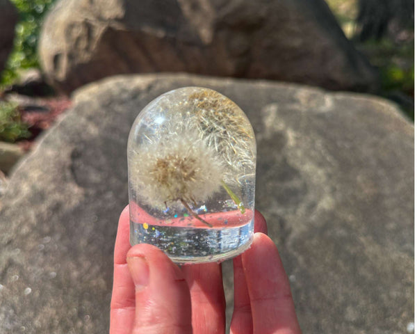 Dandelion Fairy Wishes - Handmade Floating Dandelion Resin Light Decor