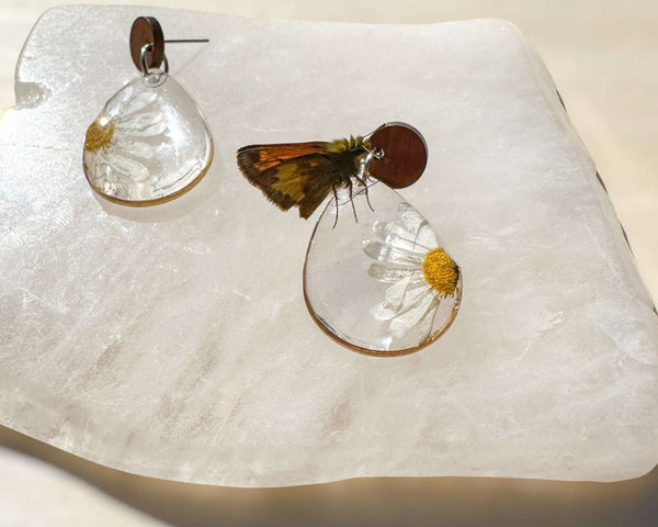 Daisy Dreams - Handmade Pressed Daisy Flower Resin Earrings