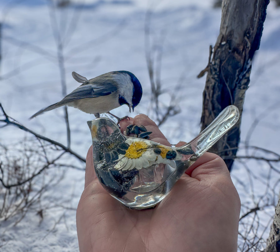 How I Feed the Chickadees - Tips and Hints