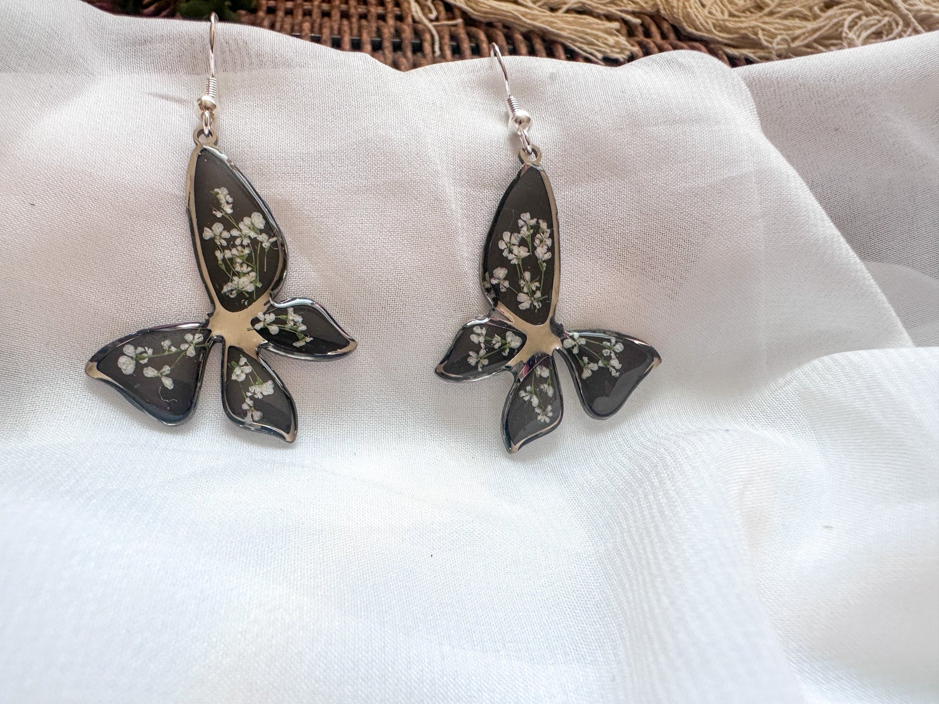 Butterfly Collection