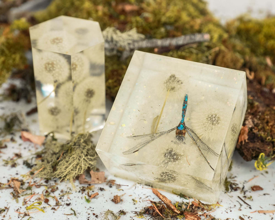 New Arrivals — Fresh Handmade Botanical Resin Art & Jewelry