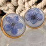 Forget-Me-Not Whispering Gold Studs - Handmade Floral Resin Earrings