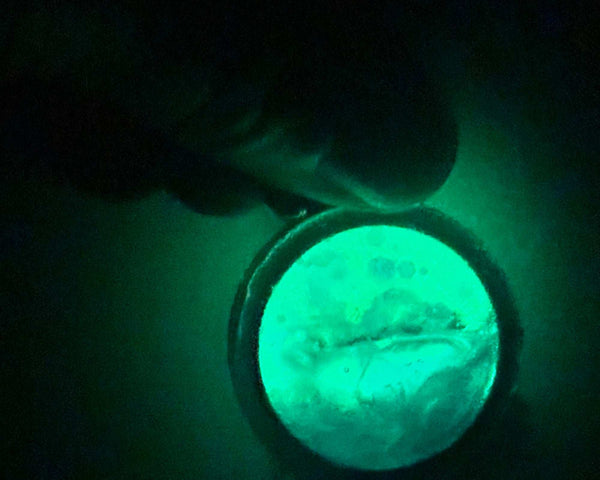Glow in the dark ocean keychain glowing bright turquoise in a dark room