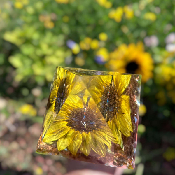 Dragonfly Pyramid - Sunshine & Sunflowers - Glass Reflections