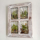 Woodland Whispers - Handmade Rustic Wood Botanical Resin Window