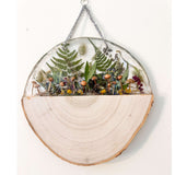 Enchanted Woodland Wall Decor – A Slice of the Forest in Your Home