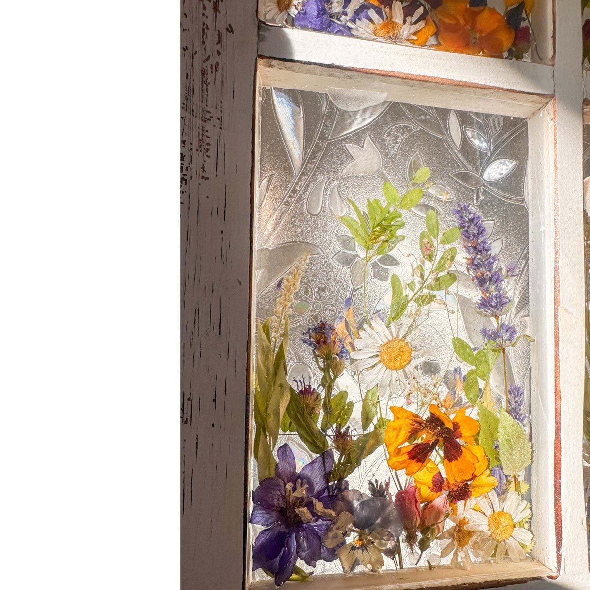 Everlasting Garden Window - Handmade Dried Flower Resin Meadow Two