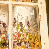 Everlasting Garden Window - Handmade Dried Flower Resin Meadow Three