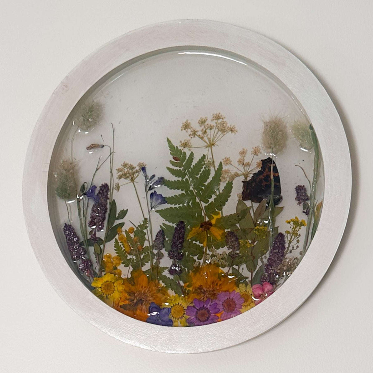 Wildflower Meadow Portal | Handmade Real Moth & Botanical Wall Art