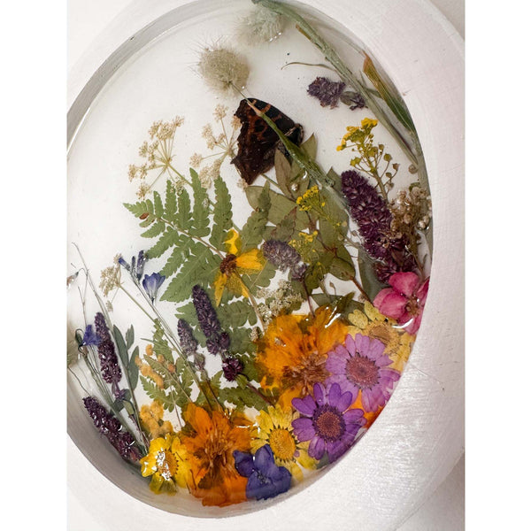 Wildflower Meadow Portal | Handmade Real Moth & Botanical Wall Art