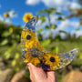 Moon Celestial Sunflower Moon Dragonfly & Sunflower Resin Night Light
