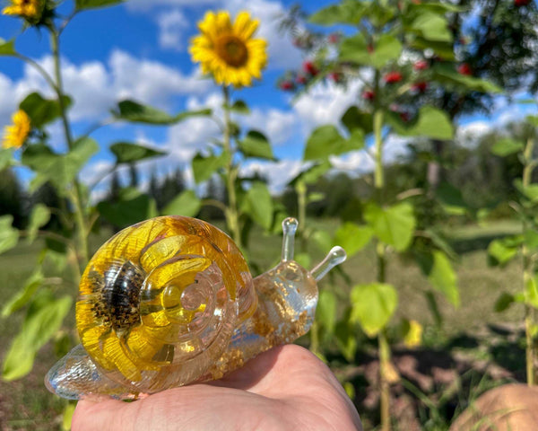 Sunflower Snail - Sunny the Sunflower Snail Handmade Floral Home Decor