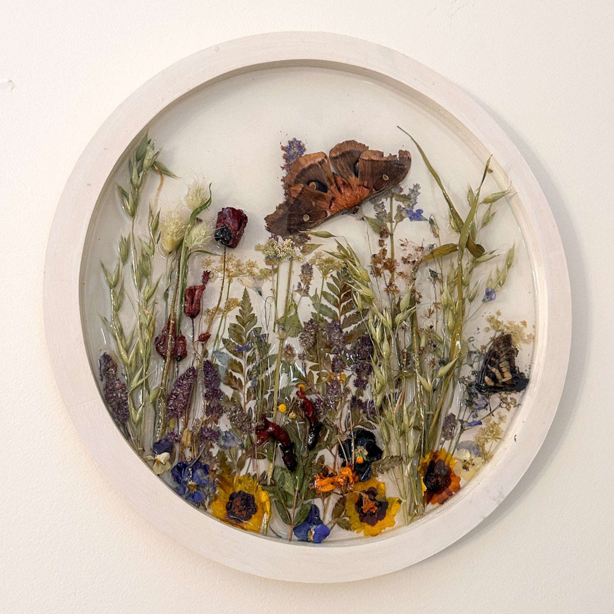 Boreal Forest Portal Handmade Monarch & Polyphemus Moth Botanical Art