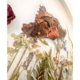 Boreal Forest Portal Handmade Monarch & Polyphemus Moth Botanical Art
