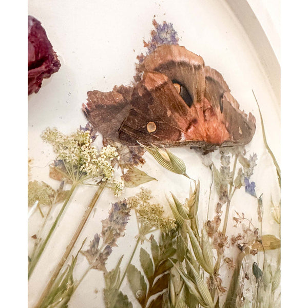 Boreal Forest Portal Handmade Monarch & Polyphemus Moth Botanical Art