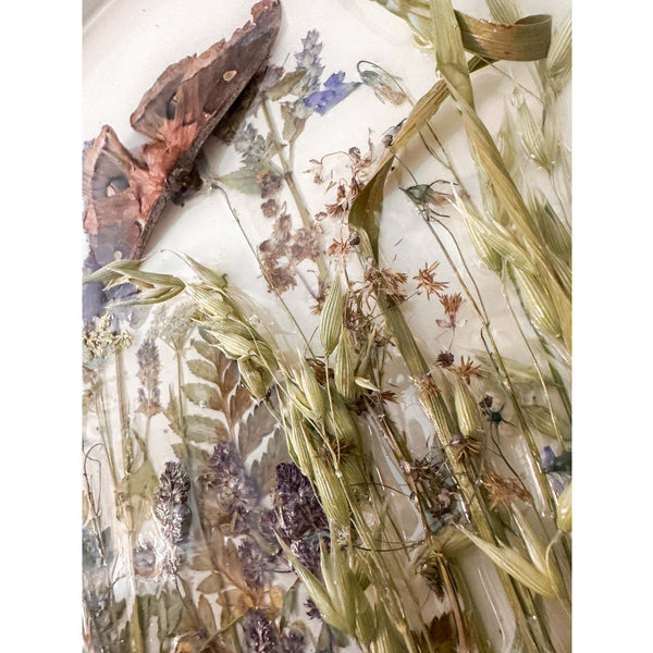 Boreal Forest Portal Handmade Monarch & Polyphemus Moth Botanical Art