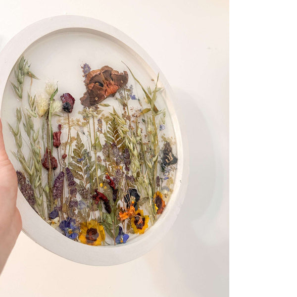 Boreal Forest Portal Handmade Monarch & Polyphemus Moth Botanical Art