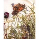 Boreal Forest Portal Handmade Monarch & Polyphemus Moth Botanical Art