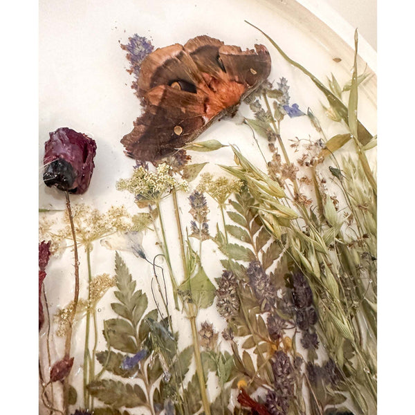 Boreal Forest Portal Handmade Monarch & Polyphemus Moth Botanical Art