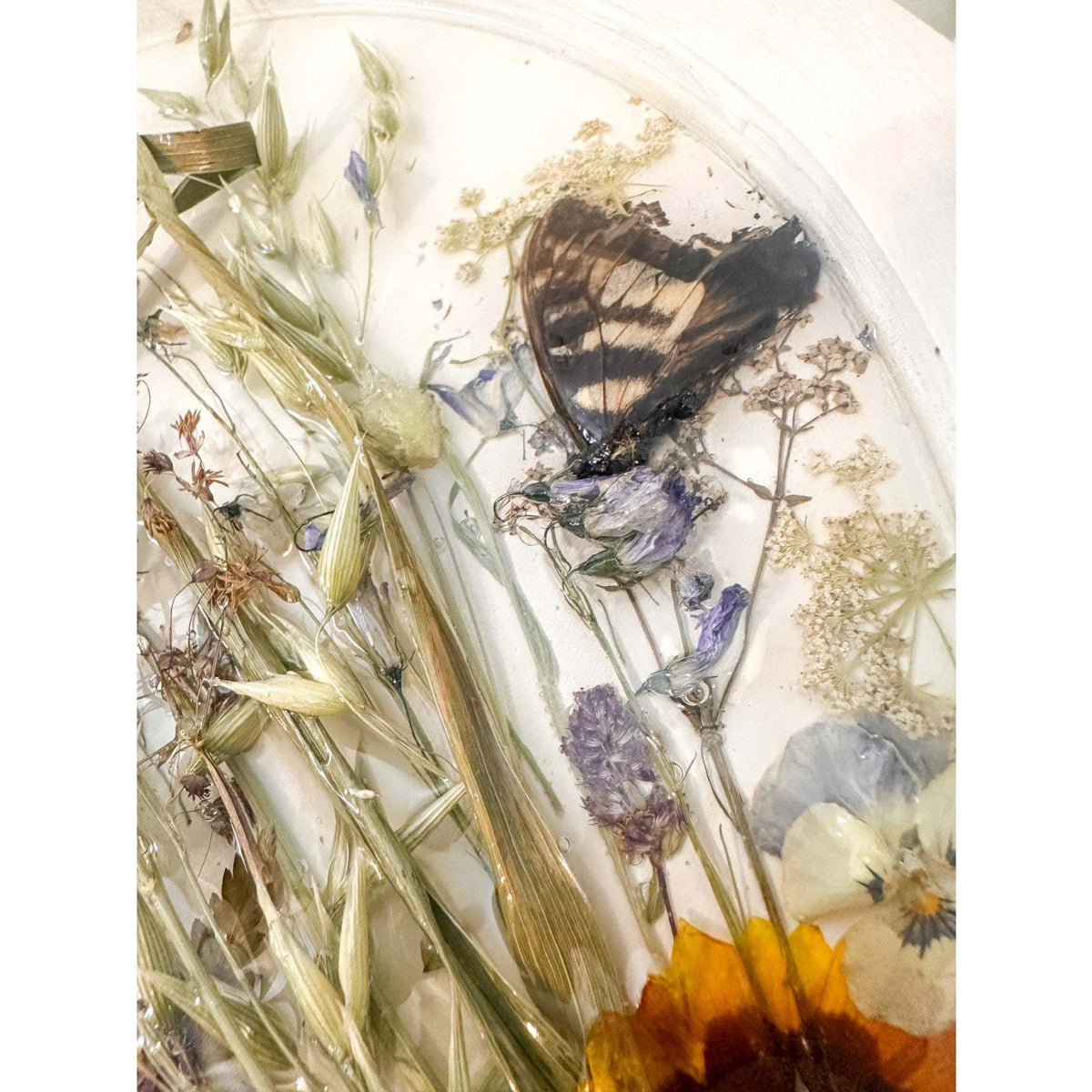 Boreal Forest Portal Handmade Monarch & Polyphemus Moth Botanical Art