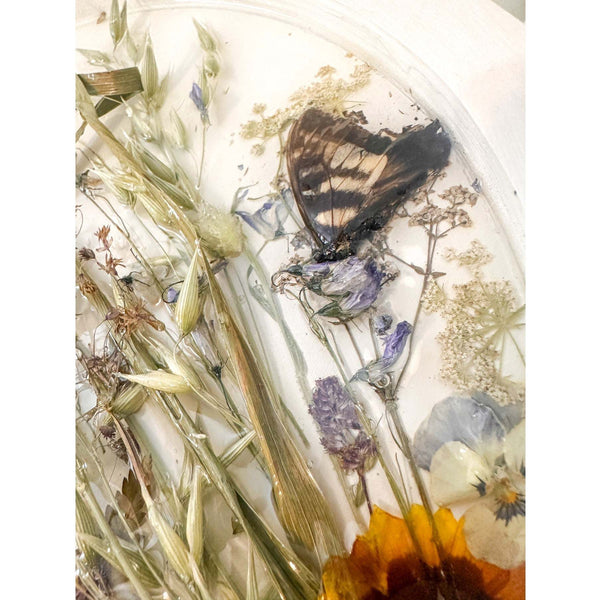 Boreal Forest Portal Handmade Monarch & Polyphemus Moth Botanical Art