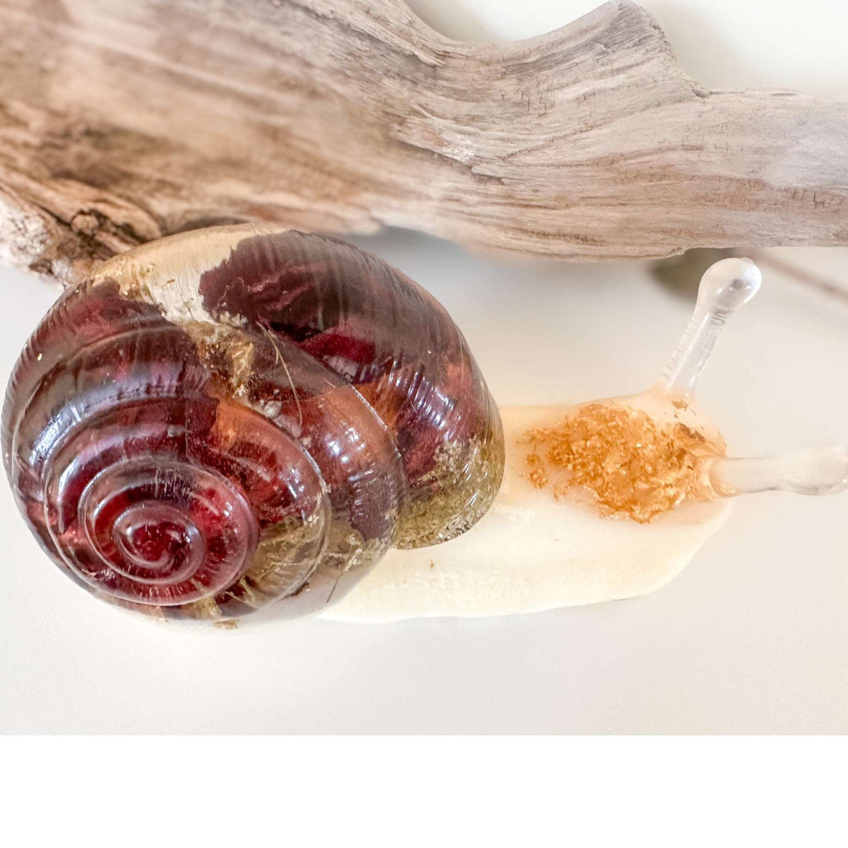 Handmade Rose Resin Snail Statue | Botanical Real Flower Home Decor