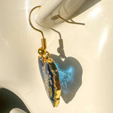 Midnight Lace Hearts | Real Queen Anne's Lace & Navy Resin Earrings