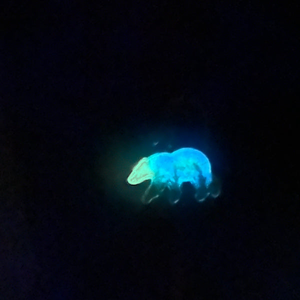Northern Lights Spirit Bear - Handmade Resin Aurora Keychain