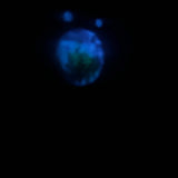 Northern Lights owl keychain with real ferns in resin and black tassel showing glow in the dark