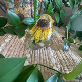 Sunflower Bella Bloom - Handmade Dried Sunflower Resin Bird Home Decor