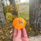 Pumpkin - Orange Bloom - Handmade Resin Pumpkins with Botanicals