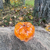 Pumpkin - Orange Bloom - Handmade Resin Pumpkins with Botanicals