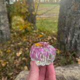 Pumpkin Purple Bloom - Handmade Resin Pumpkin with real Dried Flowers