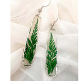 Handcrafted Fern's Embrace drop earrings featuring real green fern fronds in a clear resin setting.