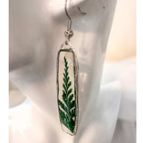 Handcrafted Fern's Embrace drop earrings featuring real green fern fronds in a clear resin setting.