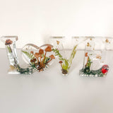 Wildwood Love Handmade Word Decor with real Forest Mushrooms and Ferns
