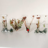Wildwood Love Handmade Word Decor with real Forest Mushrooms and Ferns