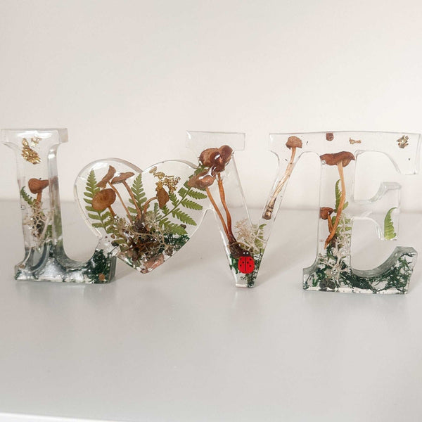Wildwood Love Handmade Word Decor with real Forest Mushrooms and Ferns