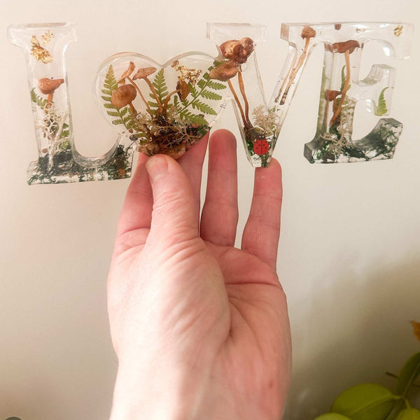 Wildwood Love Handmade Word Decor with real Forest Mushrooms and Ferns