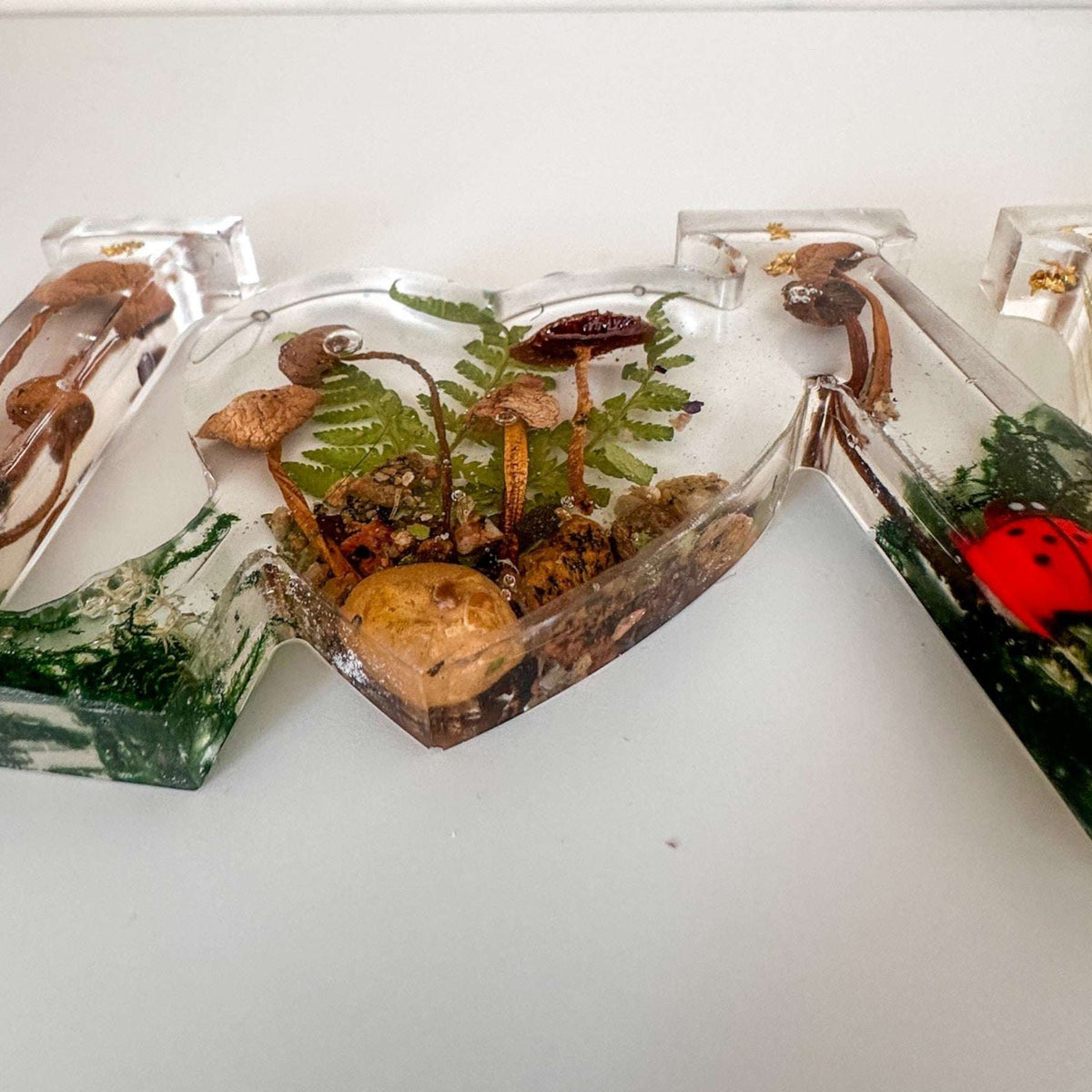 Wildwood Love Handmade Word Decor with real Forest Mushrooms and Ferns