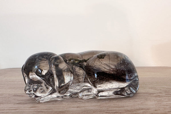 Glass sculpture of a dog on a wooden surface with a neutral background