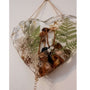 Close-up of real foraged mushrooms and ferns preserved in clear gold leaf resin heart suncatcher