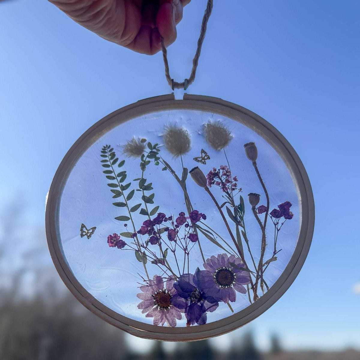 Wildflower Hoop Suncatcher botanical resin hoop suncatcher with real purple daisies ferns and bunny tails in wood frame, handmade Canada