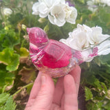 Wish Birds - Handmade Whispering Wish Dandelion Puff Resin Birds