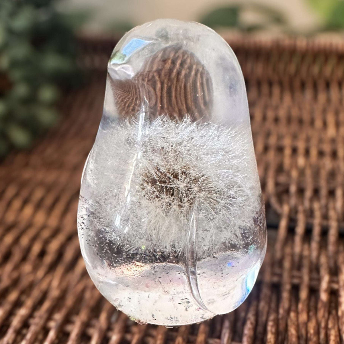 Wish Keeper Songbird dandelion resin bird decor with whole preserved dandelion clock in clear resin, handmade Canada