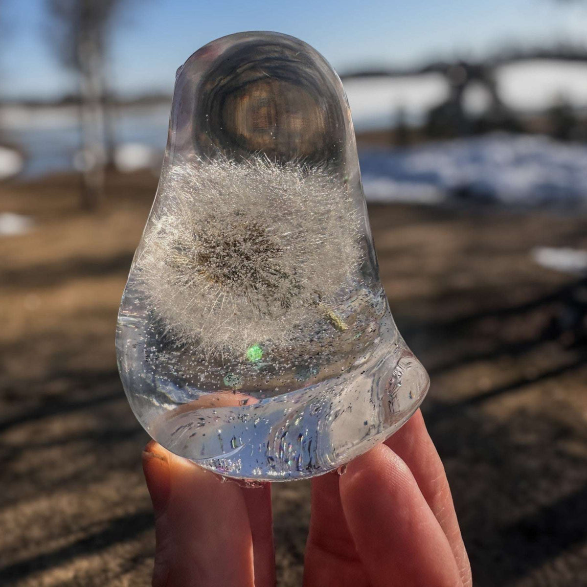 Wish Keeper Songbird dandelion resin bird decor with whole preserved dandelion clock in clear resin, handmade Canada